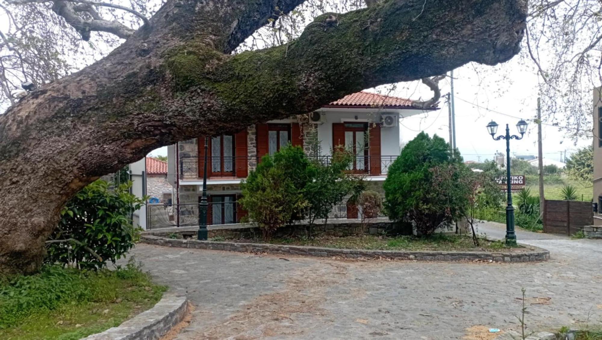 Villa Iris Мистра Экстерьер фото